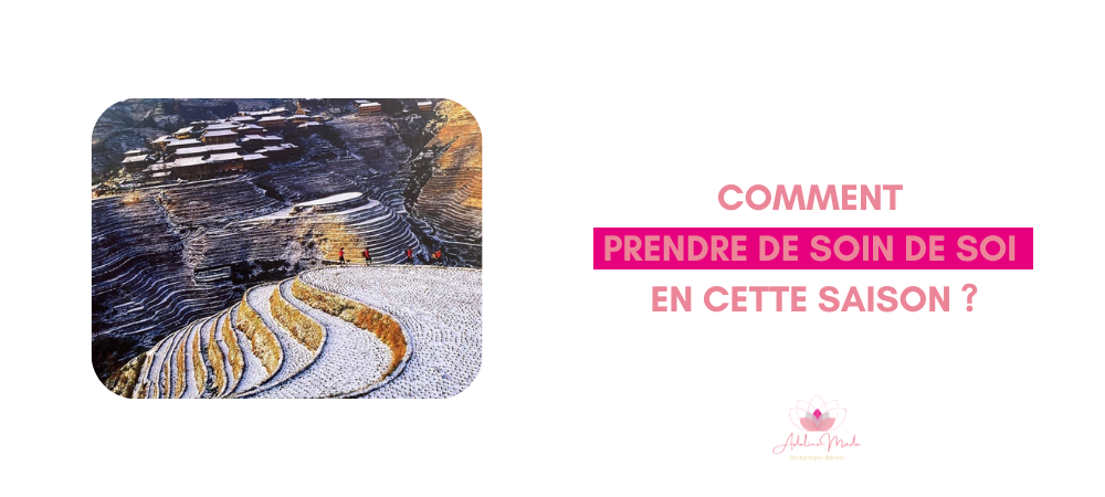 Lire la suite à propos de l’article Petit article de saison