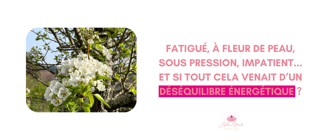 Lire la suite à propos de l’article Le printemps, la saison du renouveau
